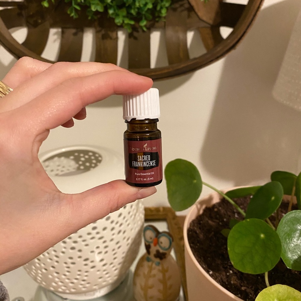 YL Sacred frankincense essential oil